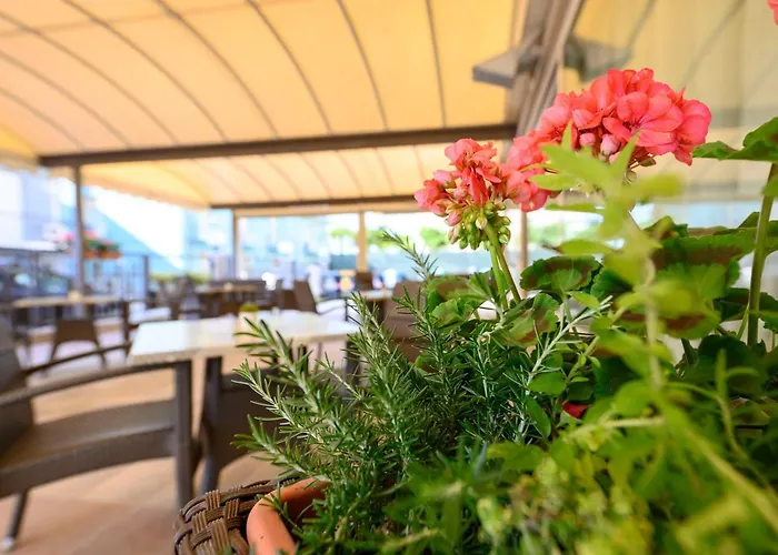 Hotell Harmony Con Piscina Panoramica 3*