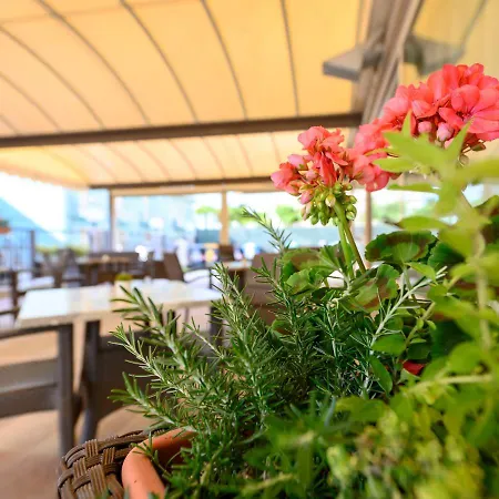 호텔 Harmony Con Piscina Panoramica 3*