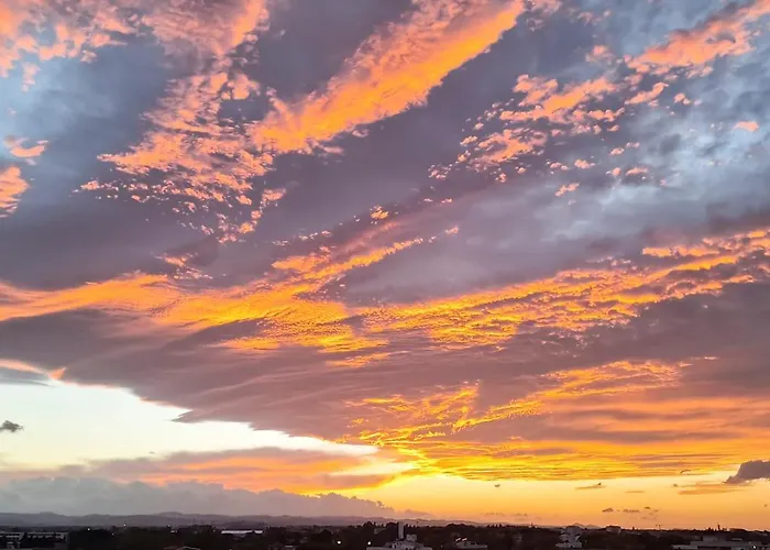 Harmony Con Piscina Panoramica מלון רימיני